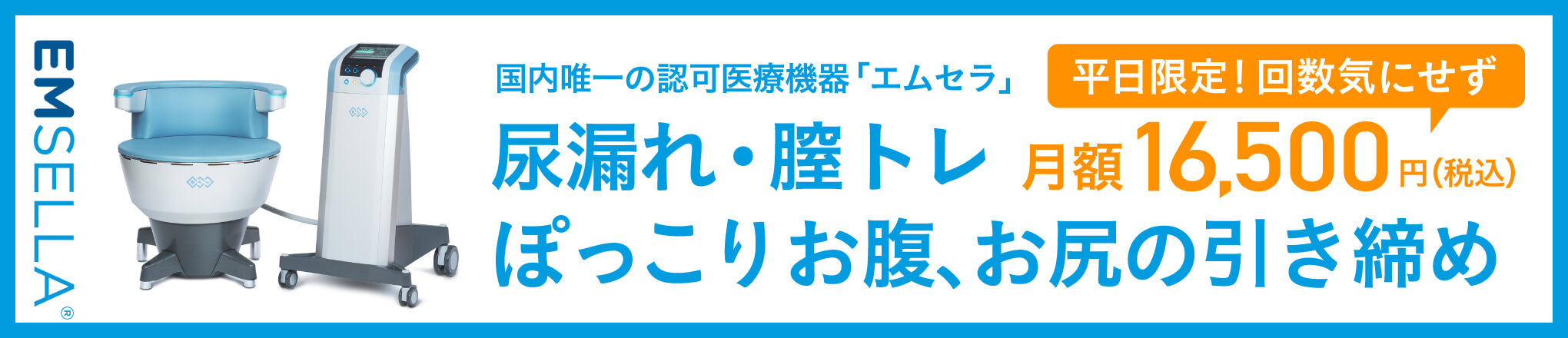エムセラサブスク